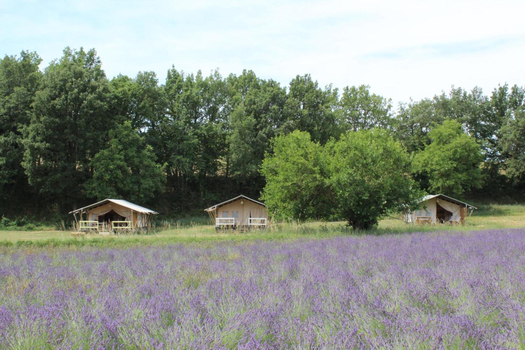 Les Anes De Forcalquier Hotel Exterior photo