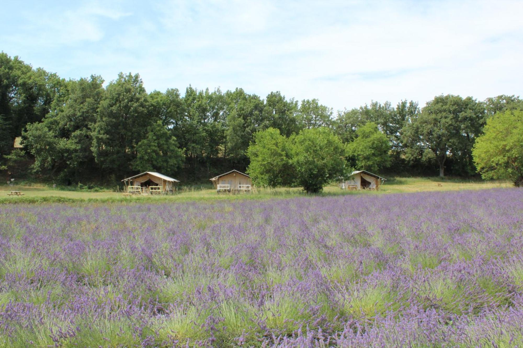 Les Anes De Forcalquier Hotel Exterior photo