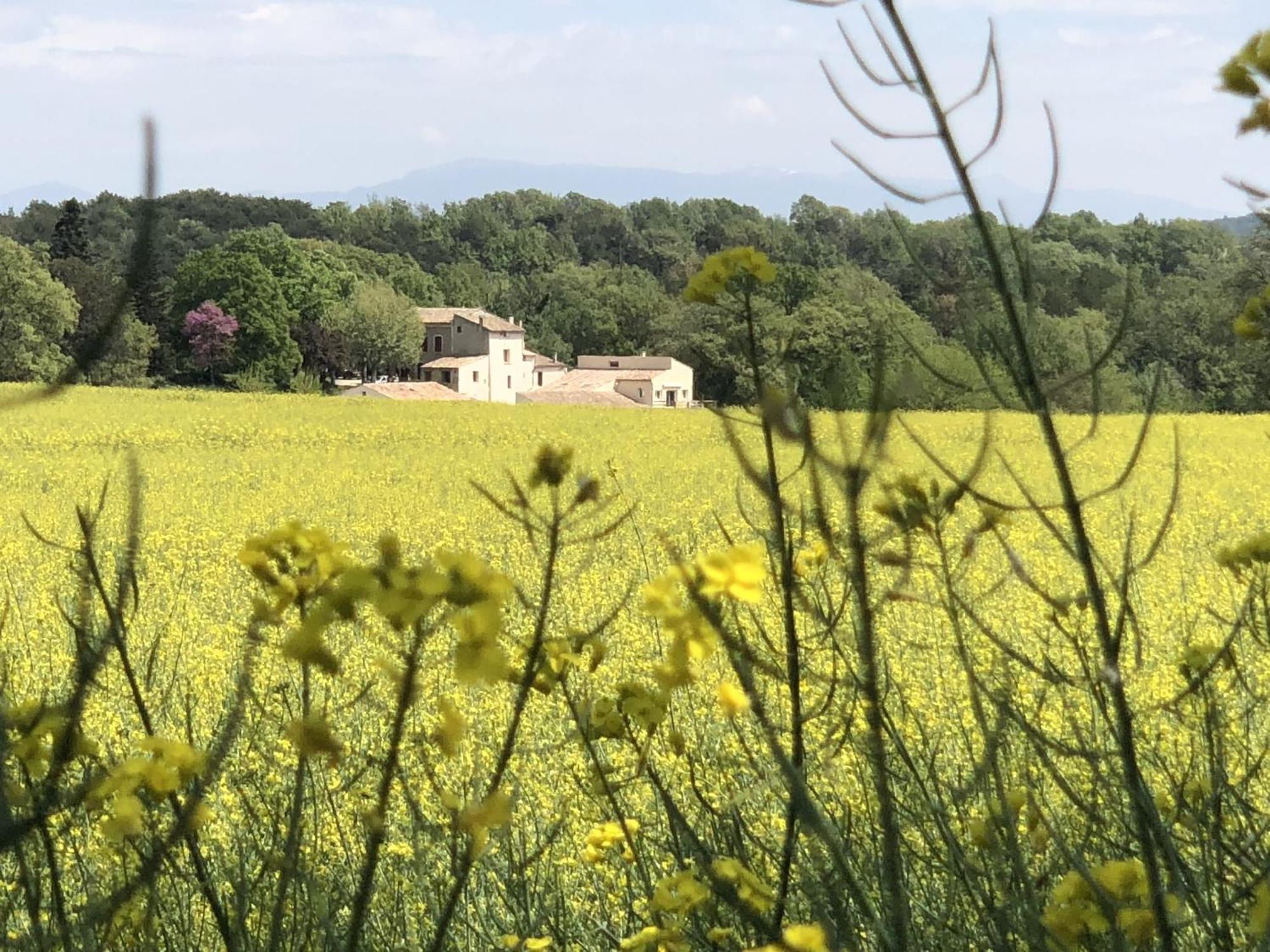 Les Anes De Forcalquier Hotel Exterior photo